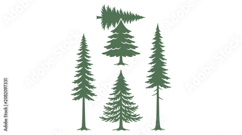 Conifer tree silhouettes set