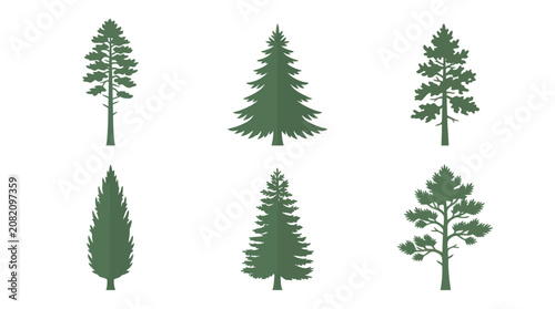 Coniferous tree silhouettes collection