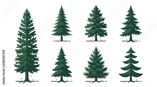 Coniferous trees collection