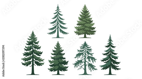 Tableau sur toile Group of evergreen trees collection