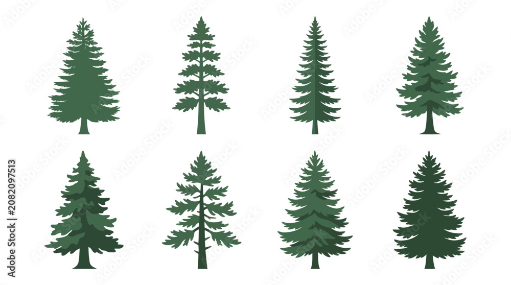 Obraz premium Evergreen tree collection flat illustration