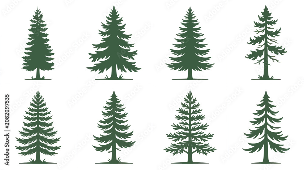 Obraz premium Evergreen tree collection