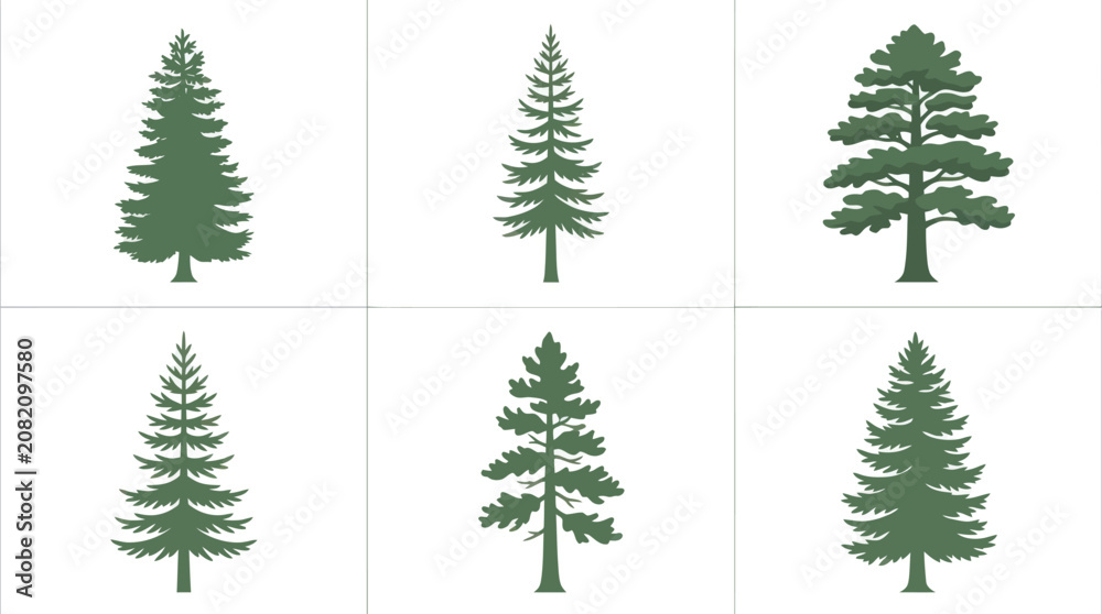 Obraz premium Evergreen tree illustrations collection