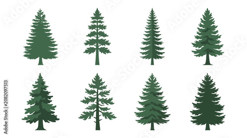 Evergreen tree collection flat illustration