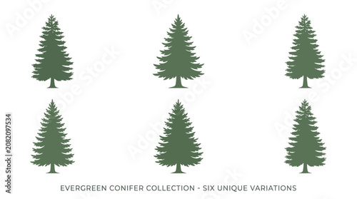 Evergreen tree collection set