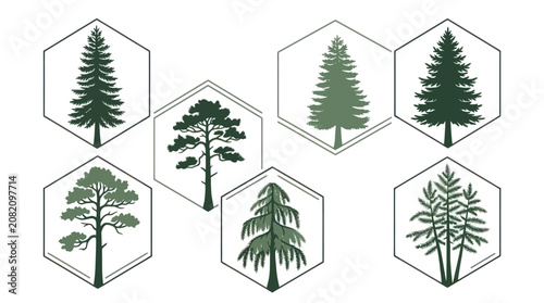 Obraz na plátně Forest tree icons in hexagon frames