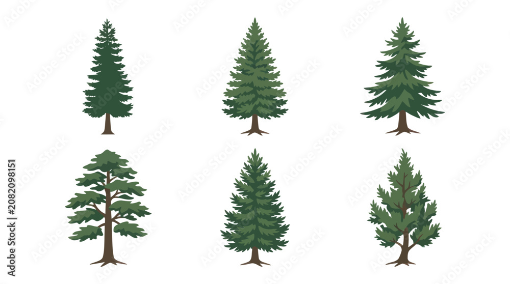 Obraz premium Green conifer tree collection vector