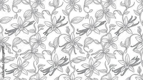 Vanilla Bean Floral Pattern Seamless Vector Illustration