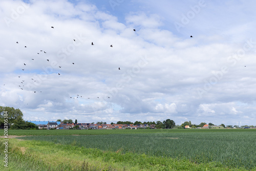 Panoramic rural village skyline above green agricultural fields under cloudy blue sky with flock . High quality photo