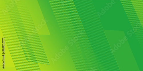 Abstract green background with lines. Vector Eps10