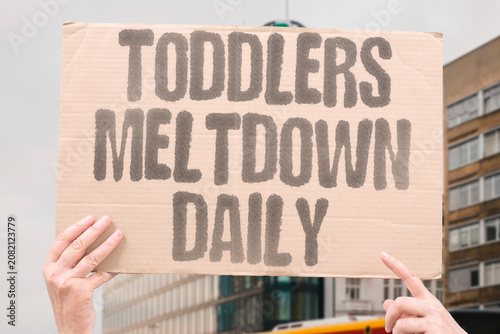 Fotografía "Toddlers meltdown daily" Young children struggle every single day