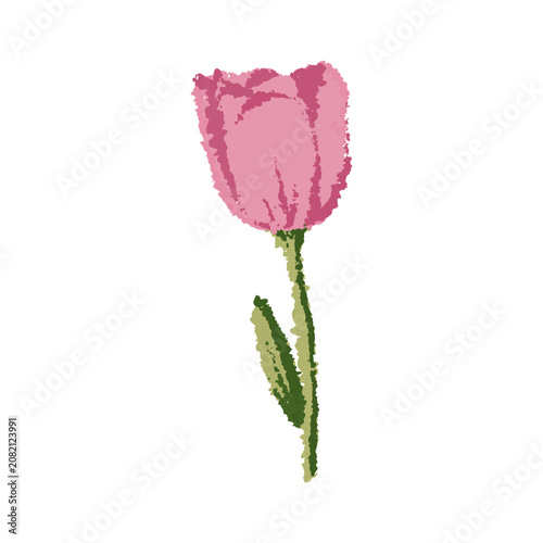 Elegant hand-drawn pink tulip flower with green stem in textured crayon style. Romantic botanical illustration isolated on white background for spring greeting cards and designs
