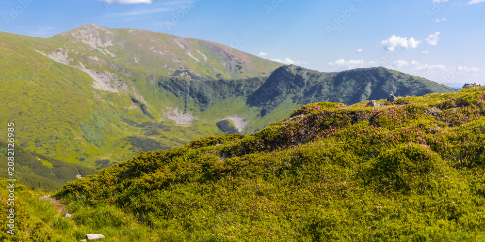 Fototapeta premium Expansive alpine mountain landscape with rolling green ridges and distant peaks for nature panorama background and wallpaper design