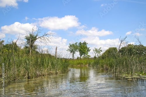 Sunny Summer day landscape of the Bark River flowing past tall reeds beneath a partly cloudy blue sky near Summit, Wisconsin.