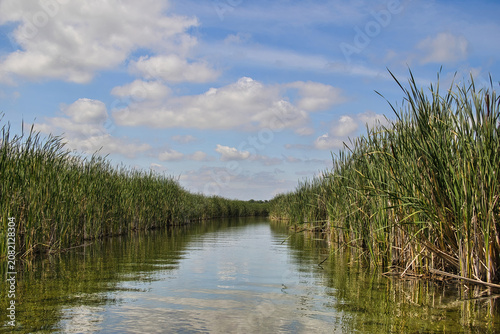 Sunny Summer day landscape of the peaceful Bark River passing beside tall reeds beneath a blue sky and wispy clouds near Summit, Wisconsin.