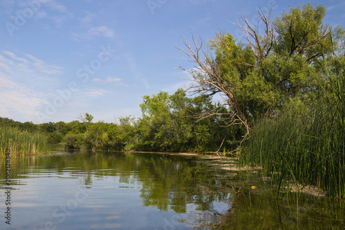 Sunny Summer day landscape of the Oconomowoc River passing beside tall reeds and trees beneath a blue sky and wispy clouds near Summit, Wisconsin.