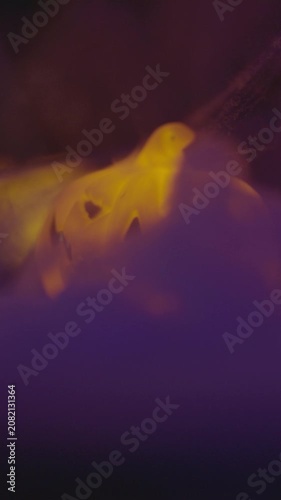 Soft focus cinematic footage of glowing jack o lantern surrounded by purple haze creating an eerie Halloween mood with mysterious visual storytelling.