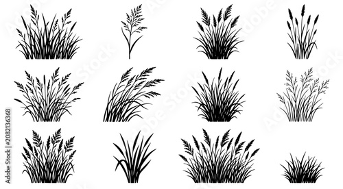 Graphic set of wild meadow grass silhouettes and cereal plants isolated on white background for landscape design