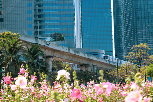 Bangkok BTS skytrain behind pink hollyhock flowers