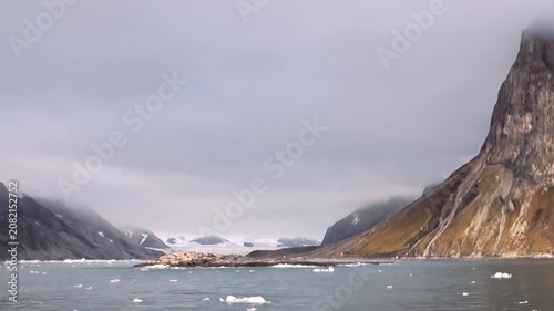 Embark on extreme Arctic Ocean journey. Towering, ancient mountains emerge from cold, turbulent waters, surrounded by floating ice. Experience profound, majestic solitude of this polar realm.