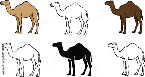 Photography Cute domestic pets flat icon set with cartoon cats camel and elements vector iso