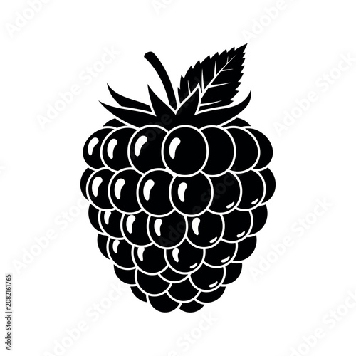 Fotografía Blackberry Fruit Icon Design.