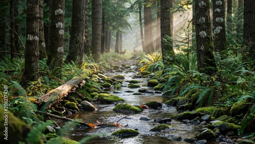 Sunlight streams through lush forest illuminating a mossy stream with fallen log and deer in background.