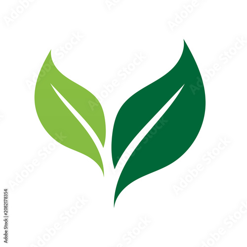 Minimalist green leaf icon representing nature, environment, and organic concepts
