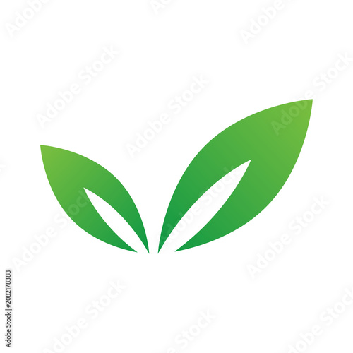 Minimalist green leaf icon representing nature, environment, and organic concepts
