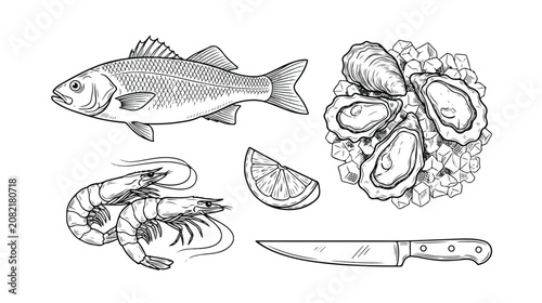 Seafood and Lemon Slice Sketch Vector Illustration Set