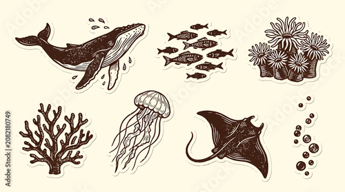 Photography Hand Drawn illustration of a whale, school of fish, coral reef, jellyfish, and s