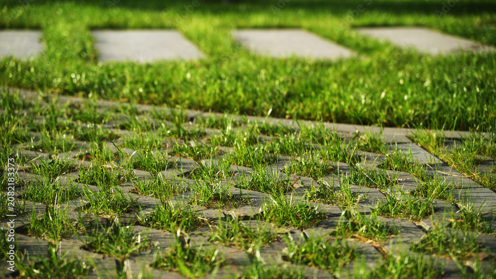 Fototapeta premium Eco-friendly interlocking permeable paver path creating green outdoor landscaping with fresh lawn grass