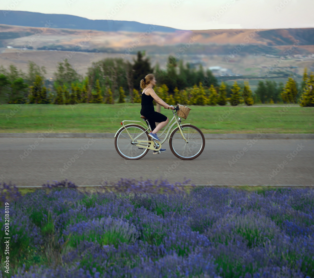 Fototapeta premium unrecognizable blur young adult lady woman rides on vintage retro bicycle female bike through lavender fields in provence park Summer Spring Season Young woman riding on bicycle in lavandula meadow
