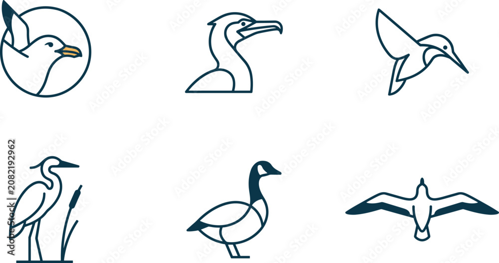Fototapeta premium Minimalist Water Bird Line Art Logo Set Featuring Seagull Pelican Hummingbird Heron Goose and Albatross Wild Nature Icons for Branding Designs