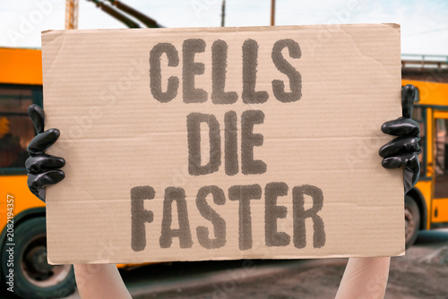 Photos "Cells die faster" Biological breakdown accelerates