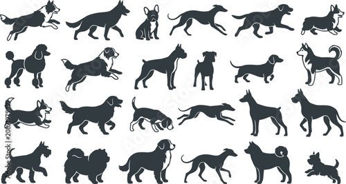 Foto Purebred dogs vector illustration collection with corgi german shepherd poodle h