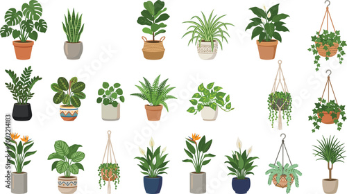 Houseplant Collection Vector Set with Potted Plants, Hanging Planters, and Indoor Greenery Illustrations for Home Decor and Nature Designs