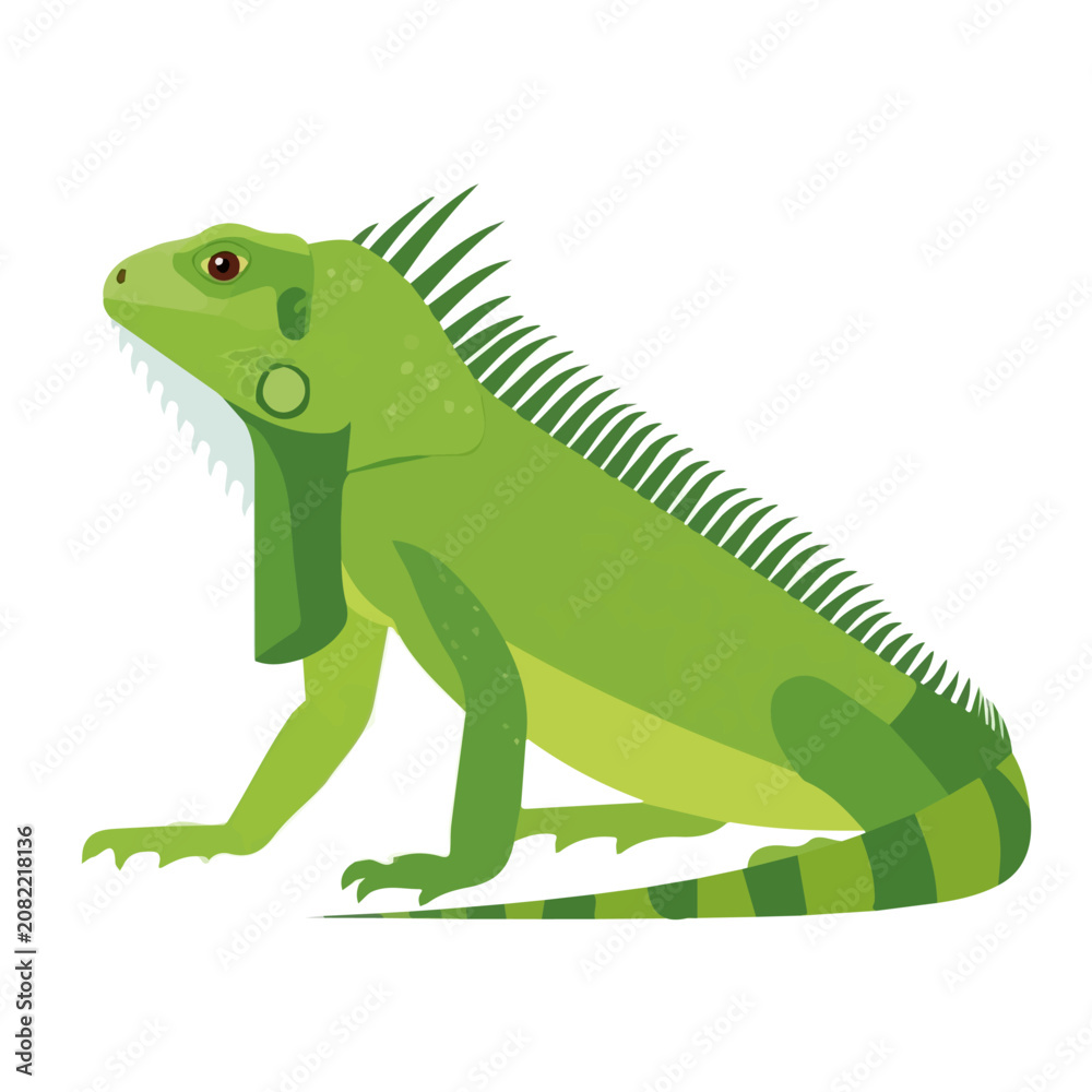 Obraz premium Simple flat 2D illustration of Iguana, modern minimalist artwork, isolated on a white background.