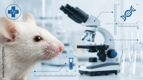 Laboratory mouse pharmaceutical research concept with microscope and DNA symbol showing scientific study and medical innovation in clean research environment