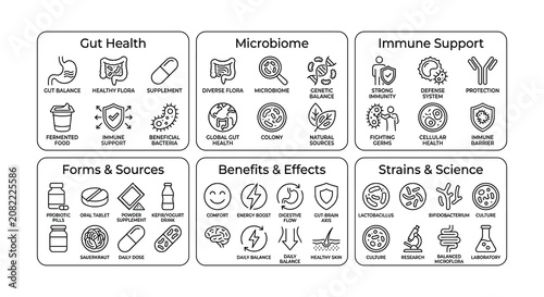 Collection Of Flat Vector Icons Representing Gut Health And Immunity