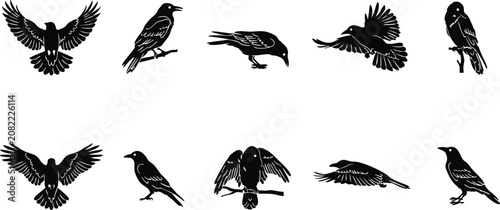 Raven silhouettes collection diverse poses for graphic design and illustration