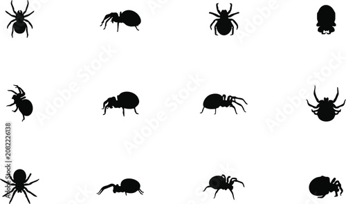 Black silhouette spider collection isolated vector icons for halloween designs