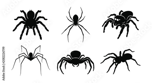 Konstfotografi Spider Silhouettes Black Vector Illustration On White Background