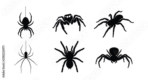 Schilderij op canvas Spider Silhouettes Black Vector Illustration On White Background