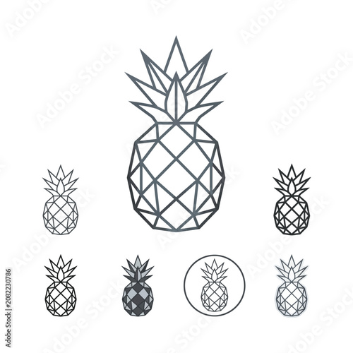Geometric Pineapple Icons Set, Minimalist Tropical Fruit Vector Graphics