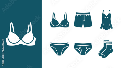 Bild auf Leinwand Underwear and lingerie vector icon set with bra, panties, boxers, and socks