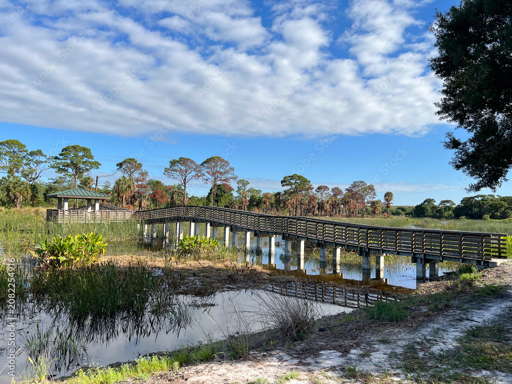 Fototapeta premium Bridge in the Natural Reserve