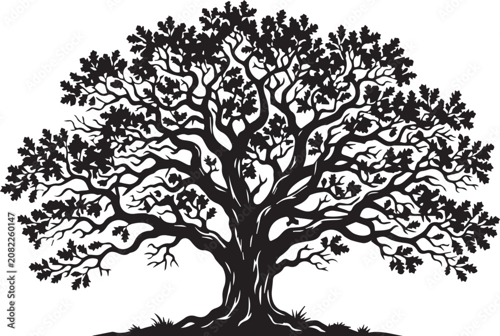 Fototapeta premium Black silhouette of a tree with sprawling branches and leaves isolated on white background
