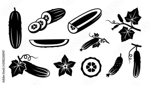 Fotografía Cucumbers with Leaves and Slices in Black and White Illustration Featuring Cucum