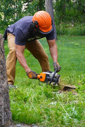 A vertical full-length shot of a professional male arborist wearing an orange safety helmet, ear muffs, and work gloves bending over to cut into a tree stump or roots with a gas-powered chainsaw on a 